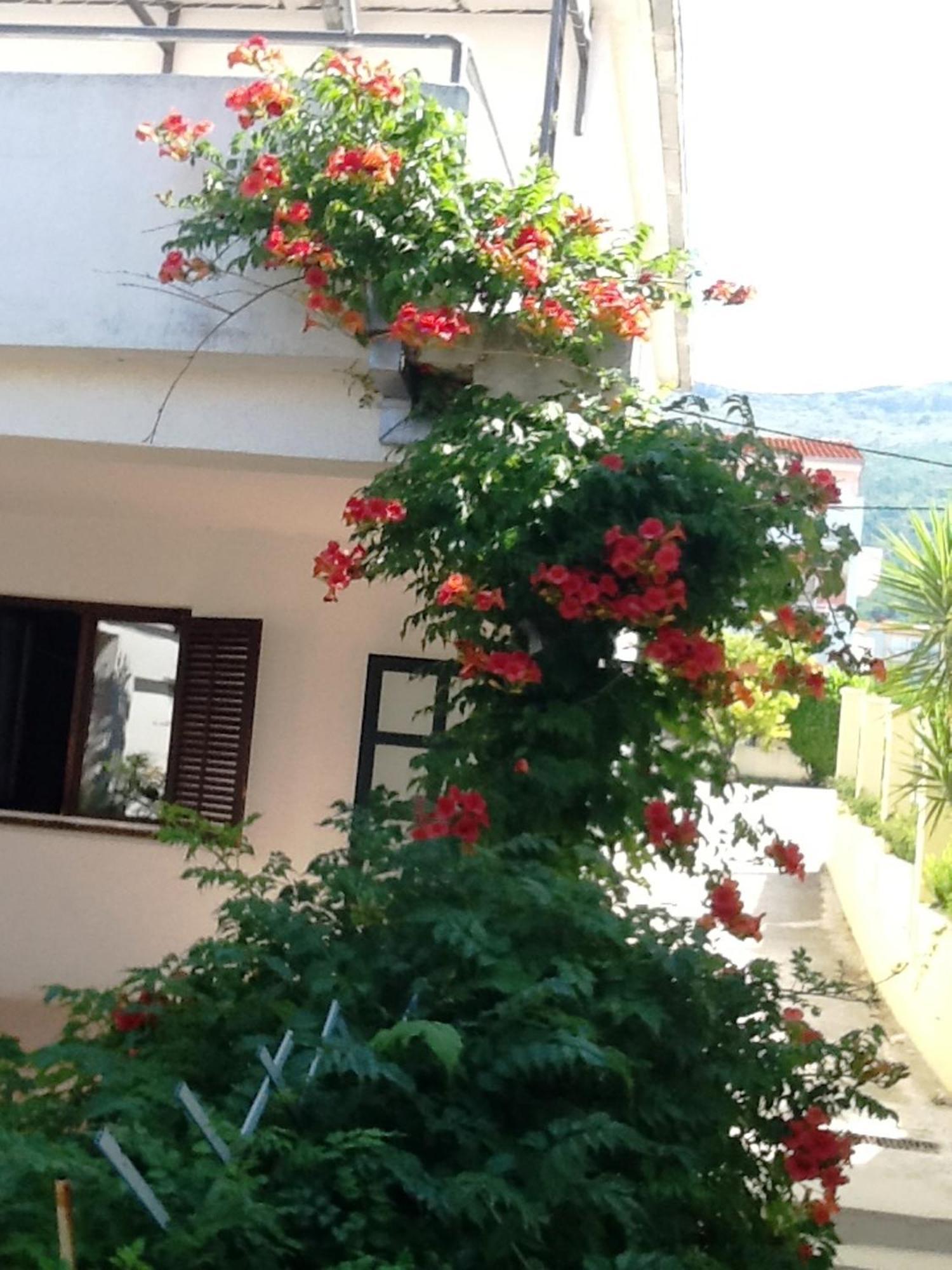 Villa Tamaris On The Beach Podstrana Kamer foto